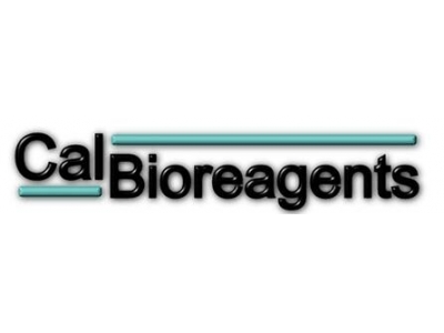 CalBioreagents代理，CalBioreagents蘇州代理，